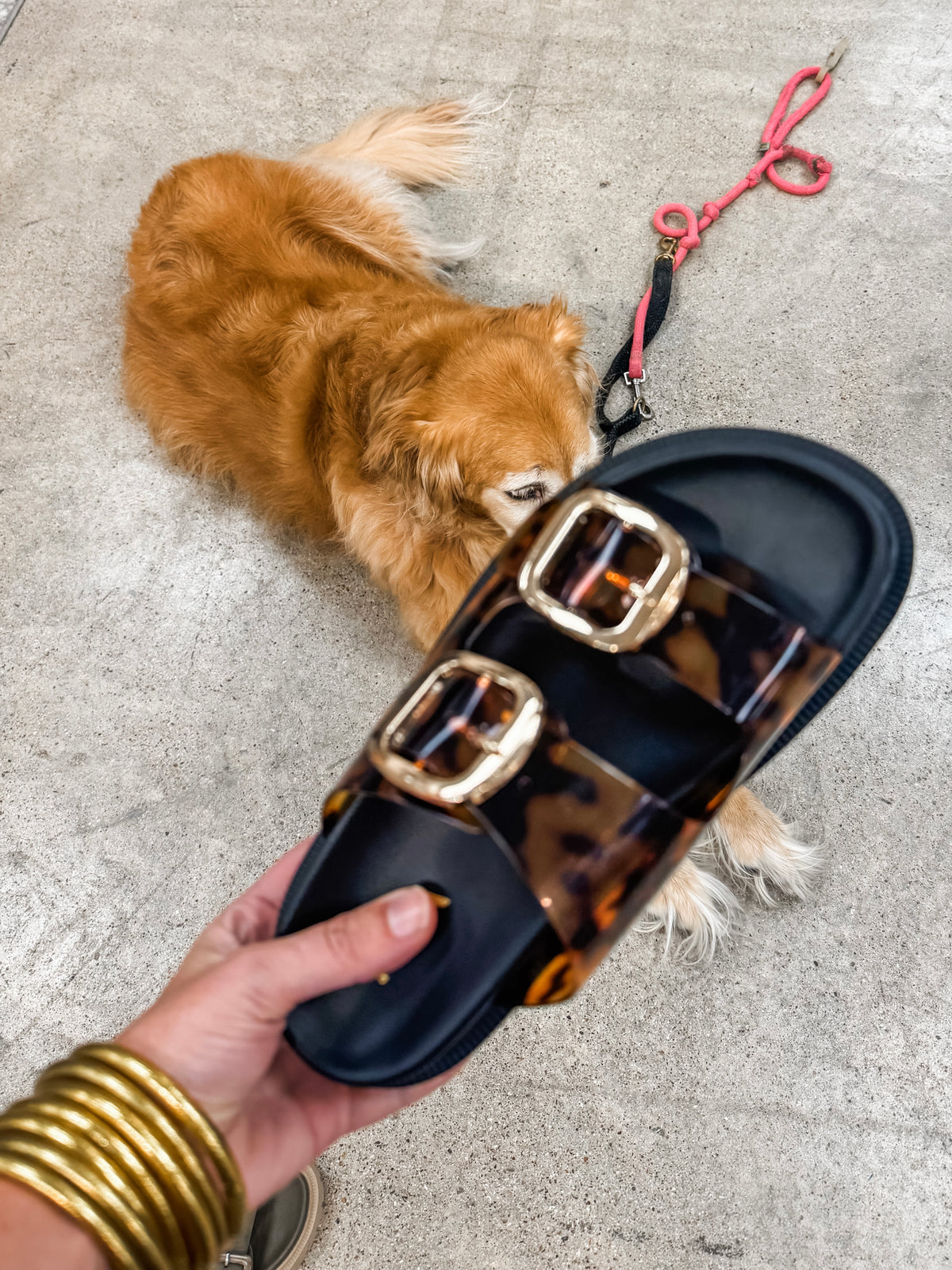 Tortoise Jelly Sandal